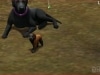 The Sims 3 - Zwierzaki
