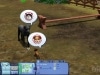 The Sims 3 - Zwierzaki