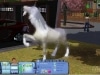 The Sims 3 - Zwierzaki