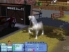 The Sims 3 - Zwierzaki