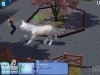 The Sims 3 - Zwierzaki