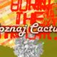 Poznaj cactusa #1 – Insect Invade II