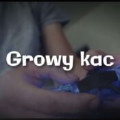 Growy kac