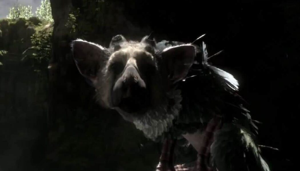 the last guardian icon