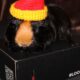 Loot Crate – listopad 2014