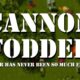 Cannon Fodder – Retro