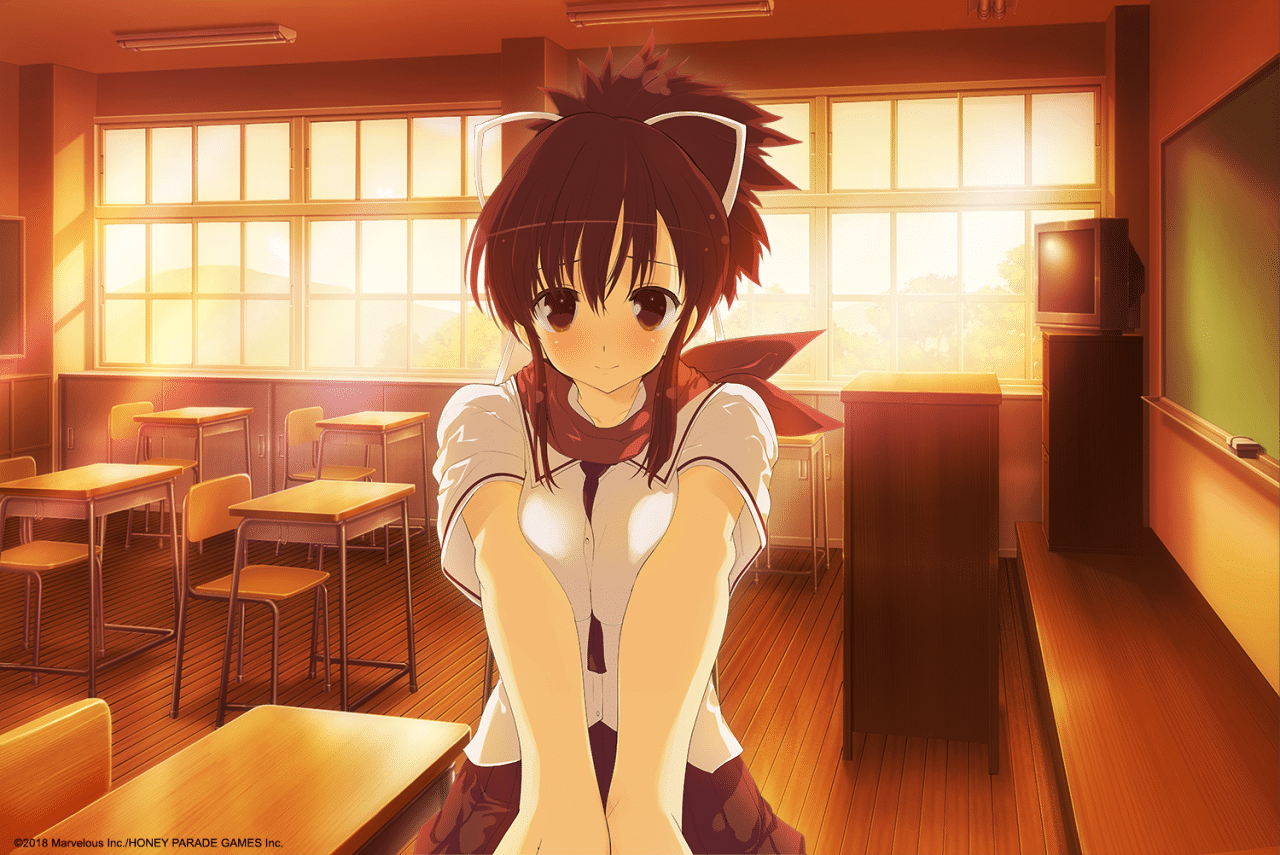 senran kagura reflexions illustrations