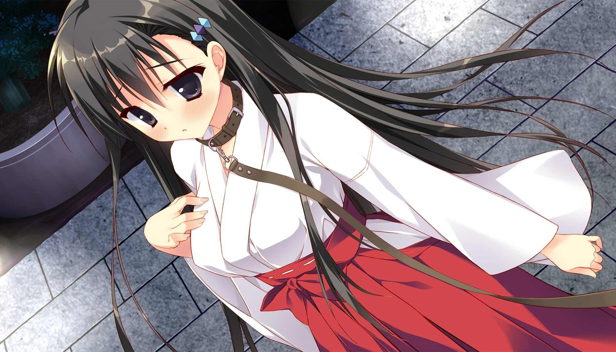 Visual Novel, Kanojo no Seiiki trafi na zachód – arhn.eu – gry wideo z ...