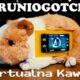Wirtualna Kawia — pluszowe Tamagotchi! | Archon psuje